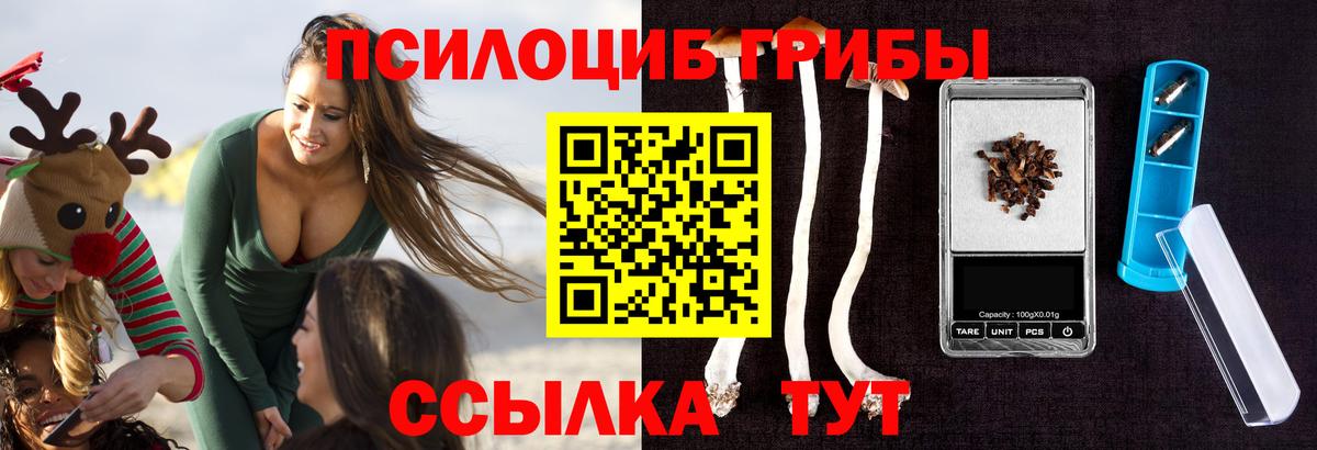 Каспийск  Псилоцибиновые грибы Cubensis  Вход с VPN  Галлюциногенные грибы MAGIC MUSHROOMS 